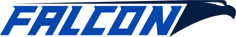 falcon ups logo